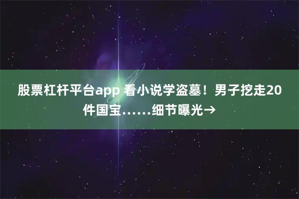 股票杠杆平台app 看小说学盗墓！男子挖走20件国宝……细节曝光→