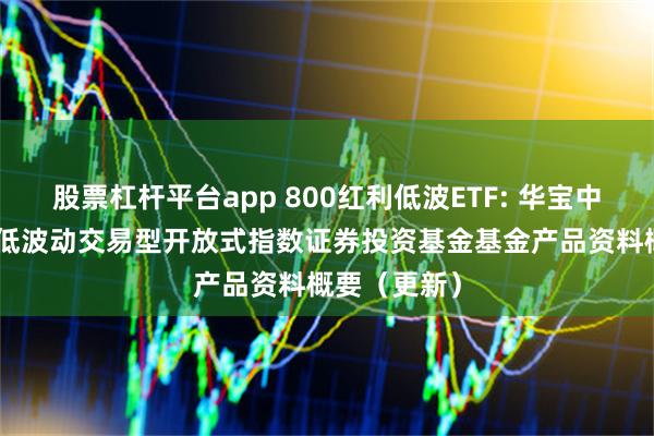 股票杠杆平台app 800红利低波ETF: 华宝中证800红利低波动交易型开放式指数证券投资基金基金产品资料概要(更新)
