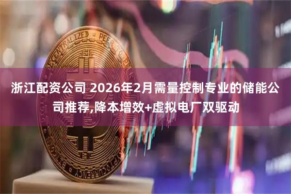 浙江配资公司 2026年2月需量控制专业的储能公司推荐,降本增效+虚拟电厂双驱动